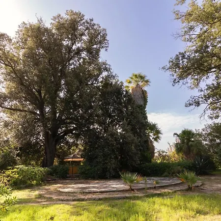 Tenuta Donna Vittoria - Edera Trapani